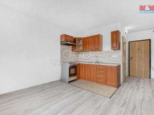 Pronájem bytu 1+1, Děčín - Děčín IX-Bynov, Na Vyhlídce, 33 m2