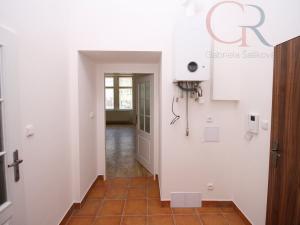 Pronájem bytu 2+kk, Plzeň - Jižní Předměstí, Americká, 63 m2