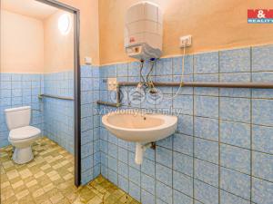 Prodej obchodního prostoru, Hromnice - Nynice, 65 m2