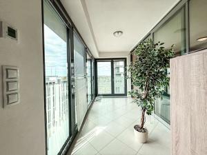 Pronájem bytu 2+kk, Praha - Žižkov, Olšanská, 66 m2