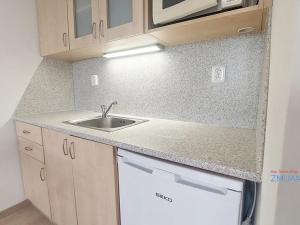 Pronájem bytu 1+kk, Ostrava, Na Obvodu, 27 m2
