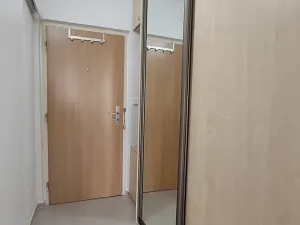 Pronájem bytu 1+kk, Ostrava, Na Obvodu, 27 m2