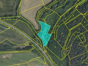 Prodej louky, Dolní Hbity, 3753 m2