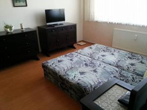 Pronájem bytu 1+1, Hodonín, Brandlova, 33 m2