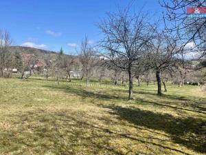 Prodej rodinného domu, Horní Planá, Palackého, 166 m2
