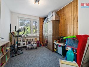 Prodej bytu 3+1, Praha - Žižkov, U kněžské louky, 74 m2