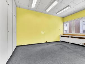 Pronájem skladu, Praha - Záběhlice, Žirovnická, 423 m2