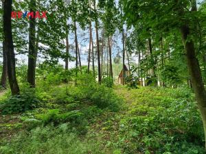 Prodej chaty, Žďár nad Orlicí, 51 m2