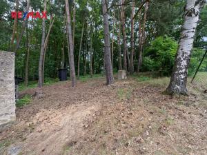 Prodej rodinného domu, Žďár nad Orlicí, 51 m2