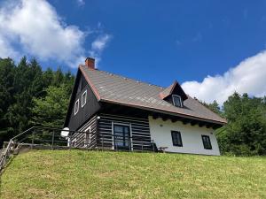 Pronájem chalupy, Vidochov, 90 m2