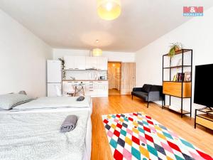 Prodej bytu 1+kk, Svitavy - Předměstí, Říční, 36 m2