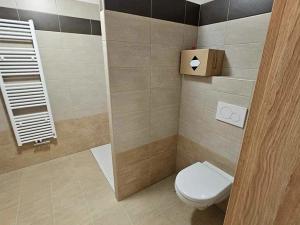 Pronájem bytu 1+kk, Chlumec nad Cidlinou, 36 m2