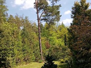 Prodej chaty, Jílové u Prahy - Kabáty, 112 m2