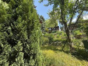 Prodej chaty, Vojkovice, 42 m2