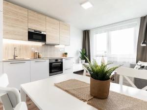 Pronájem bytu 3+kk, Mohelnice, Na Zámečku, 57 m2