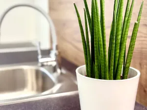 Pronájem bytu 1+kk, Kroměříž, 28 m2