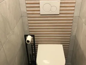 Pronájem bytu 2+1, Olomouc, Vejdovského, 56 m2