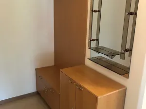 Pronájem bytu 2+1, Olomouc, Vejdovského, 56 m2