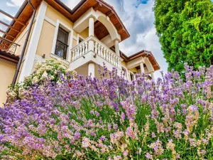 Prodej rodinného domu, Sveti Vlas, Bulharsko, 350 m2