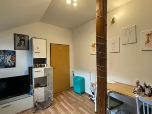 Prodej činžovního domu, Vyškov, Palánek, 600 m2