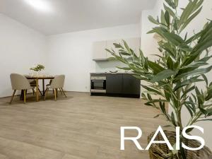 Prodej bytu 3+kk, Brno, Masarykova, 60 m2