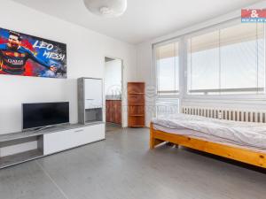 Prodej bytu 1+1, Chrudim, U Stadionu, 29 m2