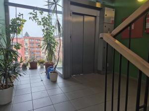 Prodej bytu 2+1, Praha - Žižkov, K lučinám, 55 m2