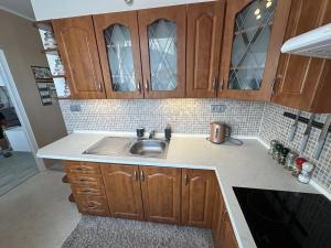 Pronájem bytu 2+1, Tanvald, U Lesíka, 59 m2