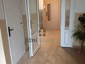 Prodej bytu 2+1, Písek, nábřeží 1. máje, 63 m2