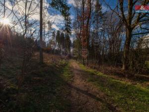 Prodej louky, Dobřív, 4692 m2