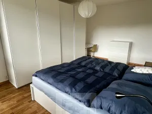 Pronájem bytu 3+kk, Liberec, Gagarinova, 79 m2