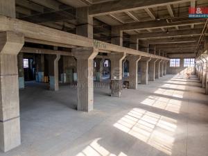 Pronájem skladu, Ostrava, Ruská, 12000 m2