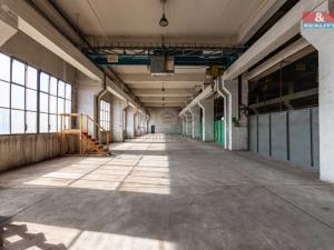 Pronájem skladu, Ostrava, Ruská, 12000 m2