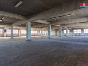 Pronájem skladu, Ostrava, Ruská, 12000 m2
