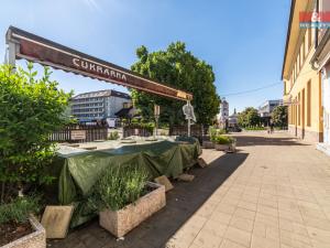 Prodej obchodního prostoru, Strážnice, Předměstí, 340 m2
