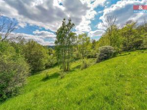 Prodej pozemku pro bydlení, Sušice - Nuzerov, 10400 m2