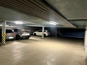 Pronájem bytu 3+kk, Liberec, Svatoplukova, 85 m2