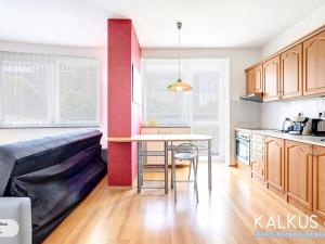 Prodej bytu 1+kk, Hradec Králové, Palachova, 41 m2