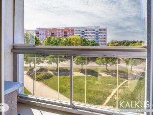 Prodej bytu 1+kk, Hradec Králové, Palachova, 41 m2