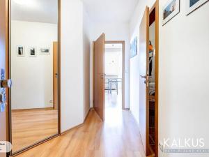 Prodej bytu 1+kk, Hradec Králové, Palachova, 41 m2
