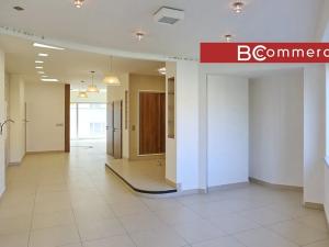Pronájem kanceláře, Brno, Hybešova, 165 m2