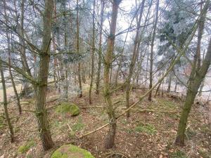 Prodej pole, Slatina, 21641 m2