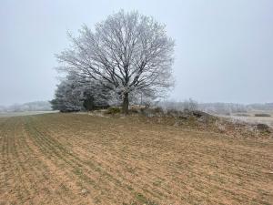 Prodej pole, Slatina, 21641 m2
