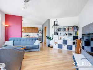 Prodej bytu 1+kk, Hradec Králové - Nový Hradec Králové, Palachova, 41 m2