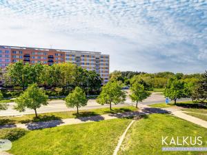 Prodej bytu 1+kk, Hradec Králové - Nový Hradec Králové, Palachova, 41 m2
