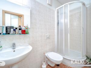 Prodej bytu 1+kk, Hradec Králové - Nový Hradec Králové, Palachova, 41 m2
