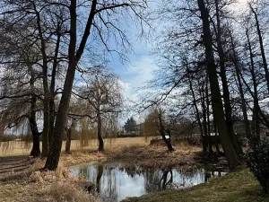 Prodej zemědělské usedlosti, Mišovice, 910 m2