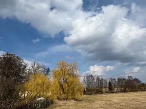 Prodej zemědělské usedlosti, Mišovice, 910 m2