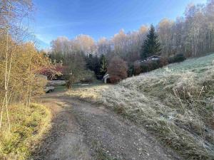 Prodej pozemku, Desná - Desná II, 289 m2