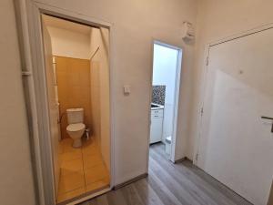 Prodej bytu 1+kk, Brno, Cihlářská, 32 m2